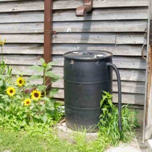 6 Methods for Harvesting Rainwater Image